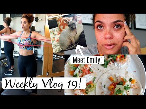 Getting another Cat?! Workout Routine + Air Fryer!! WEEKLY VLOG 19