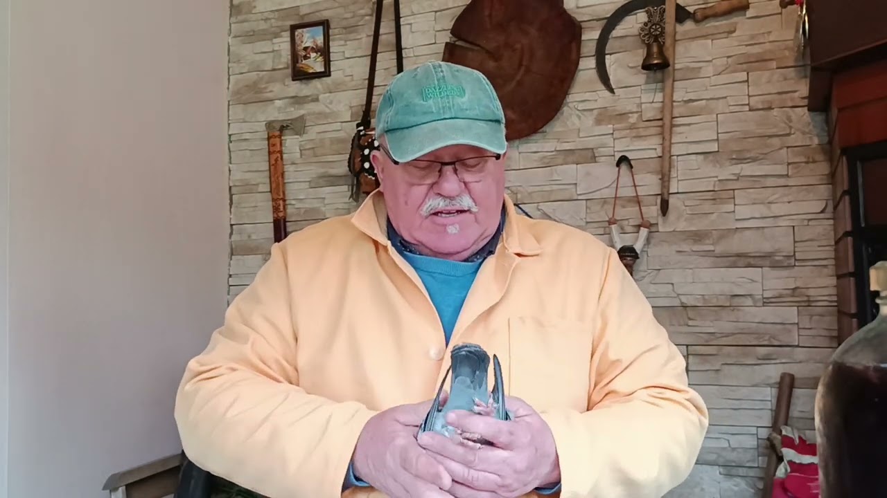 Я знаю, как спаривать шелленов! Первые соревнования в этом районе дважды. Узнаю пилота издалека.