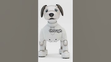 AI Dog Robots : The Future of Companionship and Security