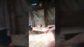 HIDUP MACAM APA INI ?!  #trend #trending #trendingshorts #trendingvideo #trendingvideo #viral