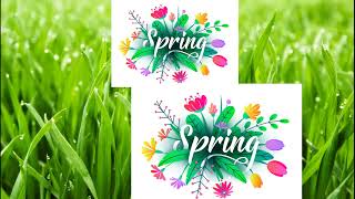 Spring Guessing Game: What is It? | English Task