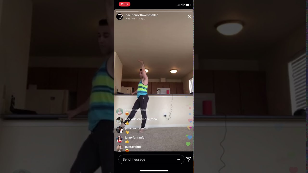 Quarantine Ballet Class #2: Professional/Advanced