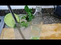 Un coctelito bien fácil y delicioso para que disfrutes este fin de semana (Mojito)