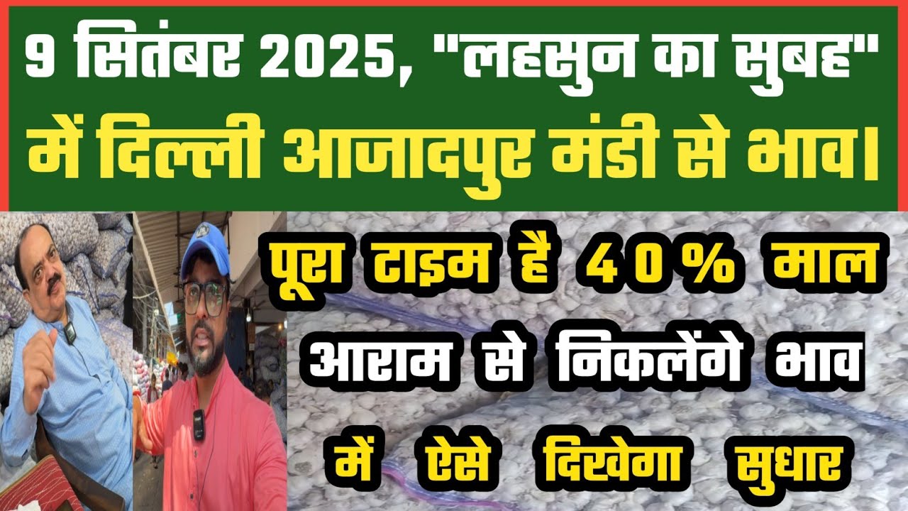09-09-2025 Azadpur Mandi से लहसुन का थोक भाव 