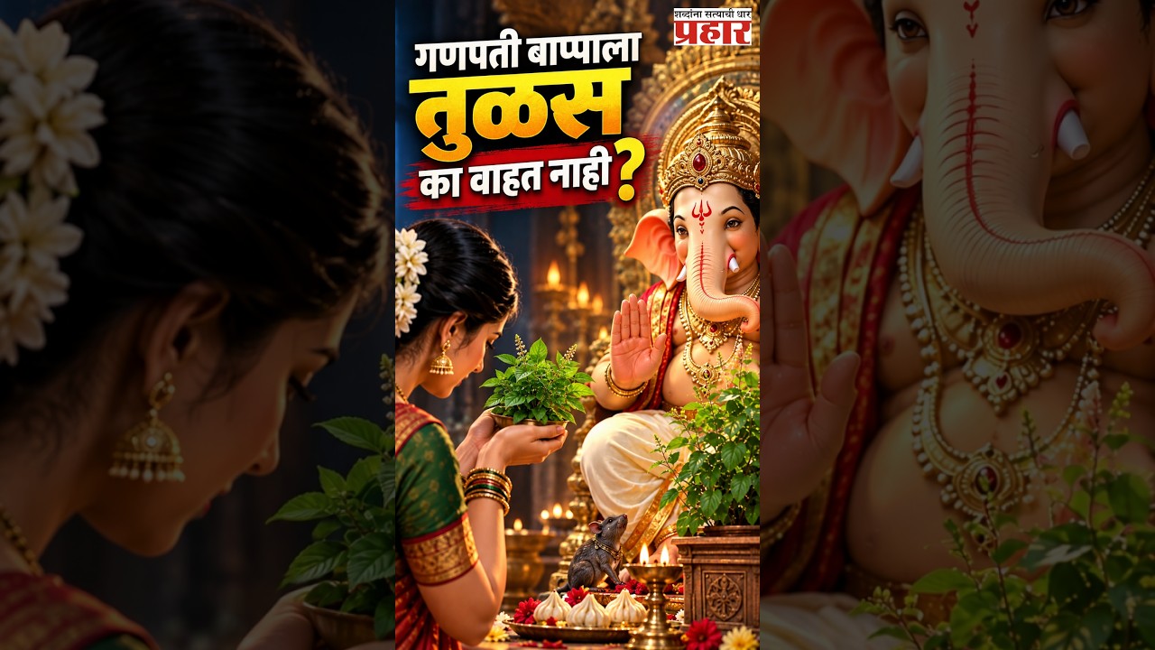Ganpati & Tulsi | गणपती बाप्पाला तुळस का वाहत नाही? जाणून घ्या पौराणिक कथा | Prahaarnewsline