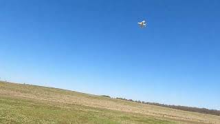 Freewing Cougar F9F Still the Best 3/20/24 by Brad Darnell 95 views 2 months ago 4 minutes, 47 seconds