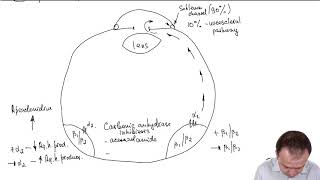 Eye Pharmacology: Regulation of Aqueous Humor Production (Part 20)