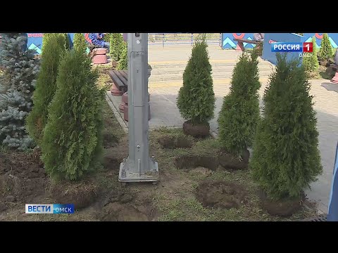 В Омске определили концепцию озеленения города на 2024 год