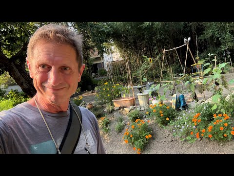 🇯🇵 Why My Life Has Grown So Quiet - Retiring in Japan