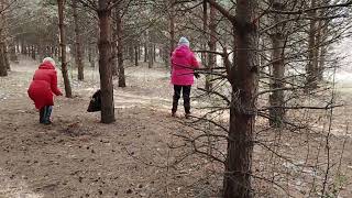 Достопримечательность Кузбасского парка. Серая белочка. 27.10.2025