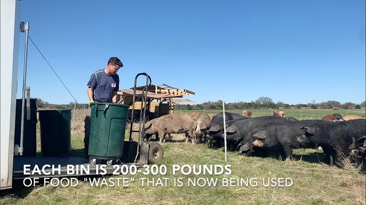 TerraPurezza Regenerative Farm - Volunteer Ben Rich