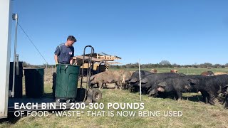 TerraPurezza Regenerative Farm - Volunteer Ben Rich