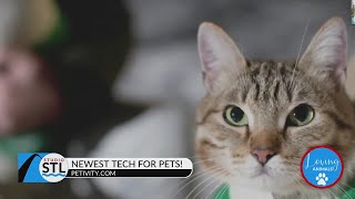 Looking for a gift for your furry friend? Petivity shares the top high-tech pet gifts!