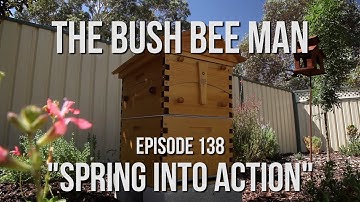 Adding Wax to the Flow Frames - The Bush Bee Man