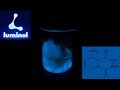 How to determine blood traces   the fluorescent chemistry of luminol