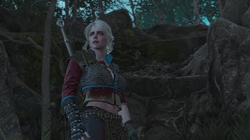The Witcher III: Wild Hunt Part 2 Walkthrough PS4 Pro (No Commentary, NG+)