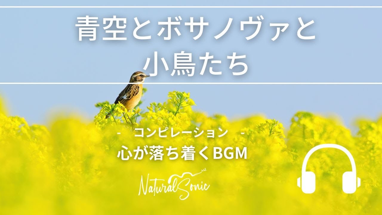 Natural Sonic「青空とボサノヴァと小鳥たち」 コンピレーション- 心が落ち着くBGM -