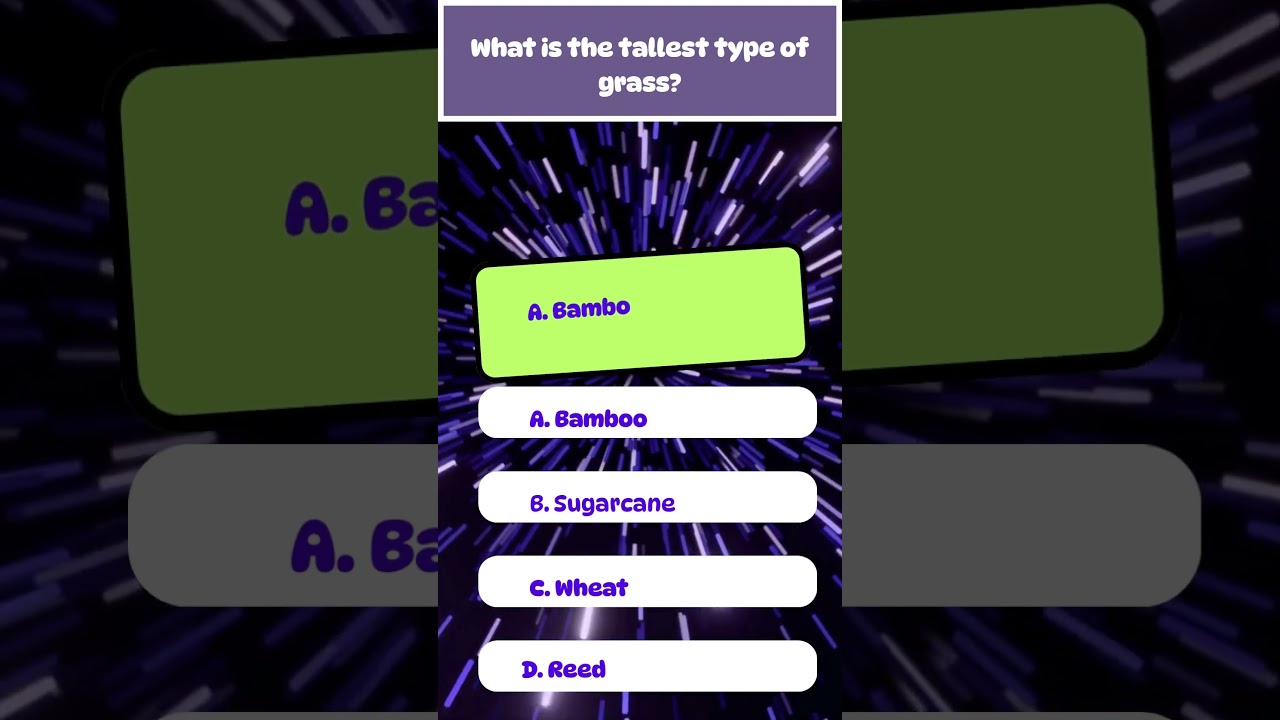 General knowledge quiz  