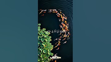اللَّهُ لَطِيفٌ بِعِبَادِهِ يَرْزُقُ مَنْ يَشَاءُ | المصحف المرتل | سورة الشورى | عبد الباسط