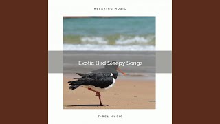 Close Your Eyes and Relax with Soft Birds Tunes screenshot 3
