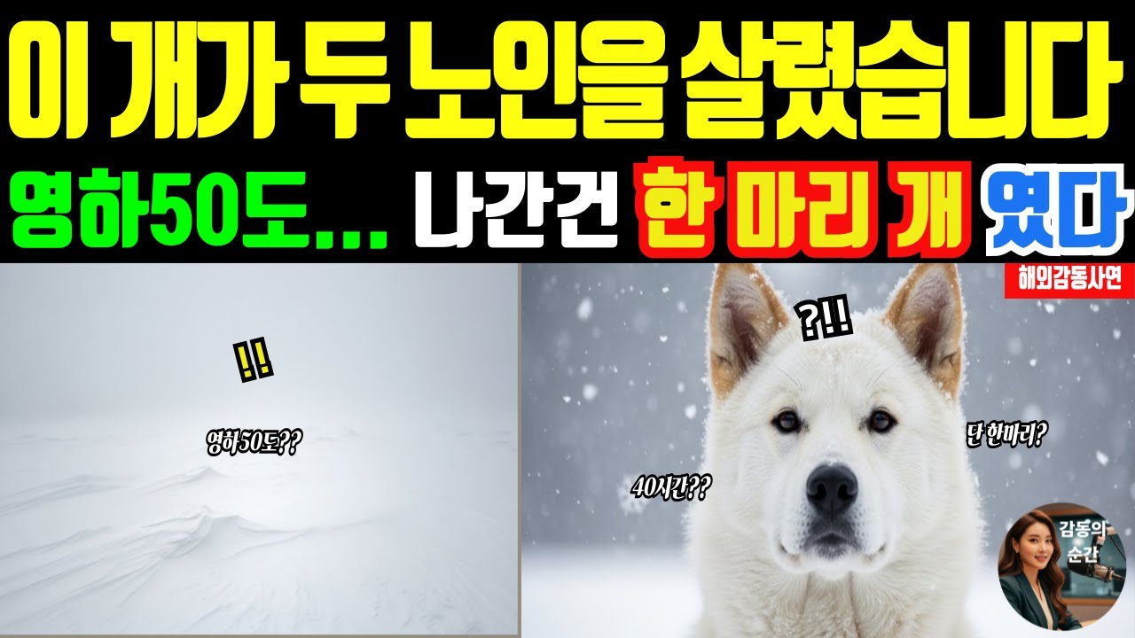 폭설 속에서 두 노인을 살린 개… 전 세계가 놀랐다