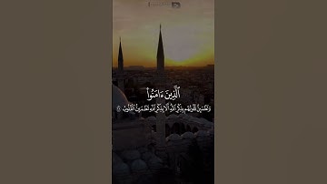 ﴿ أَلا بِذِكرِ اللَّهِ تَطمَئِنُّ القُلوبُ ﴾ القارئ أنس المالك