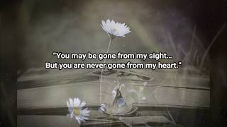 Sympathy Quotes and Sayings
