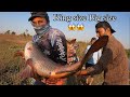 Single hook big rohu fishing  best bait for rohu fish rohu fishing techniques