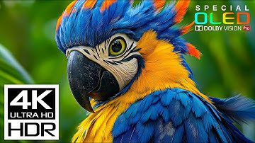 Ultimate Relaxing Sleep Music in 4K HDR 120fps | Peaceful Nature 4K Video for Stress Relief