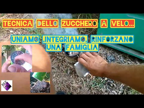 Video: Come Smettere di Zucchero in Famiglia (Illustrato)