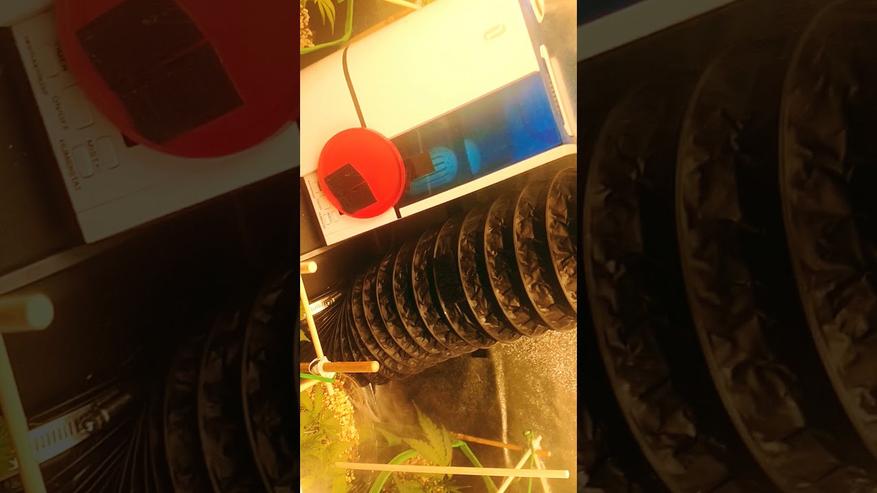 (Master Botanist)  Some of my methods for my 2nd grow...