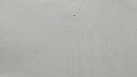 Van der Pol oscillator - video 5