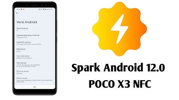Review Spark Unofficial Android 12.0 POCO X3 NFC