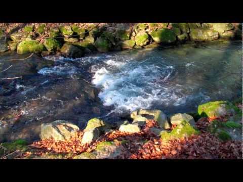 Trudelies Leonhardt plays Schubert, Sechs Deutsche Tänze D 820