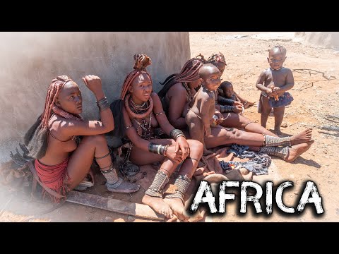 Video: Unde găsiți marii cinci mari din Africa de Sud