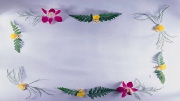 Tiếng Anh 6- Unit 11: What do you eat