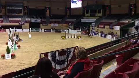 Caitlin Hooper and Winninton capital challenge