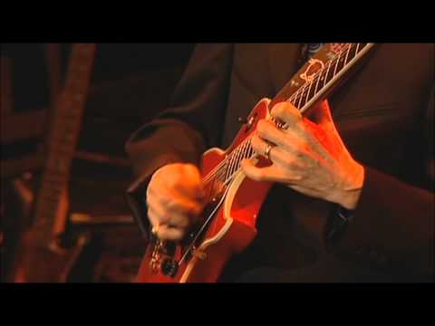 Steve Howe's Remedy (2004) Part 5-  Across The Cobblestone