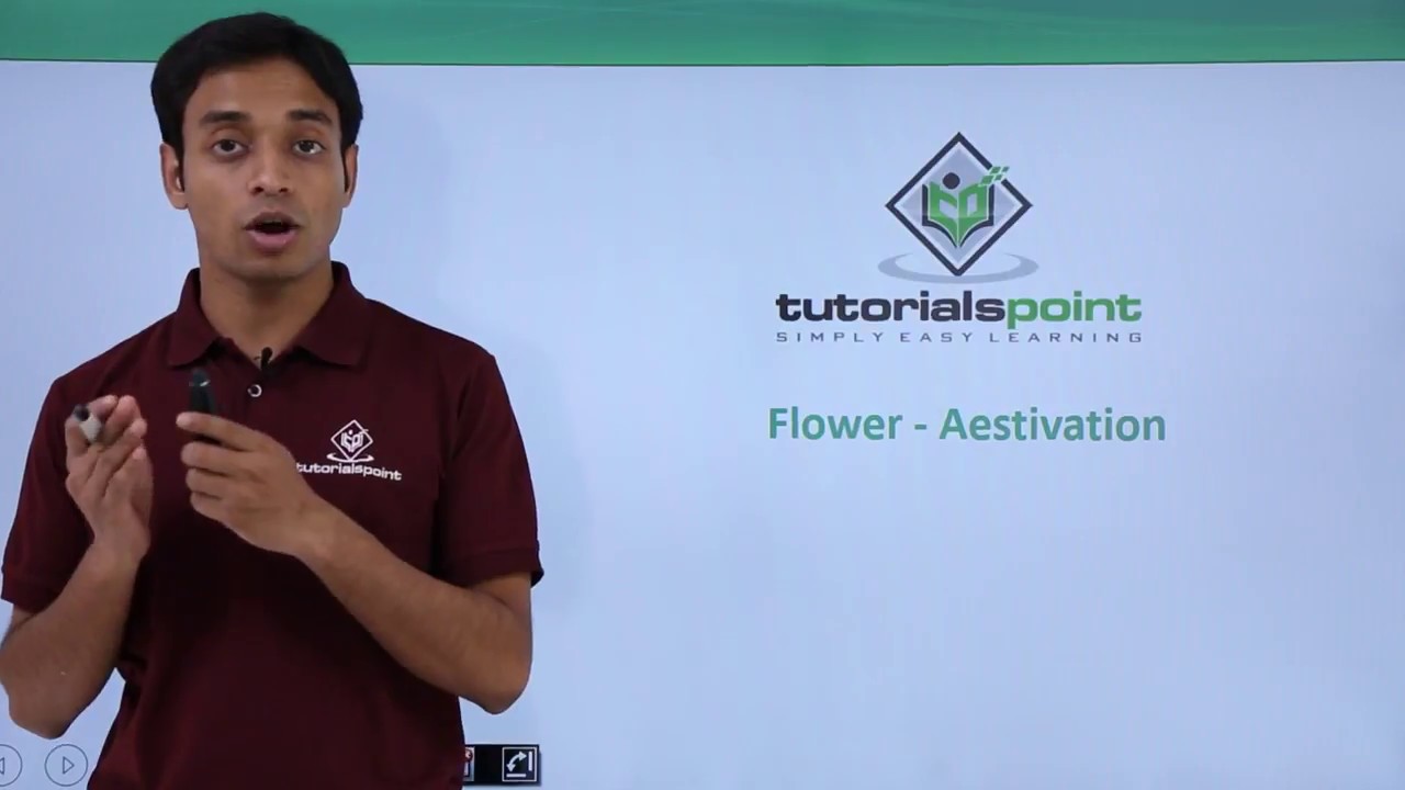 Class 11th – Flower – Aestivation | Morphology of Flowering Plants | Tutorials Point