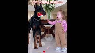 Download Lagu Phillies land All-Star closer Jhoan Duran ahead of MLB trade deadline 👀🔥 MP3