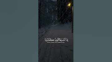 القارئ عبد الرحمن مسعد 🤎🍂 #قران_كريم #اكسبلور #funny #لايك #الرحمن #المصحف #القزابري #دويتو