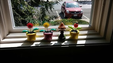 Paytime Happy Music Video HD FINAL 1