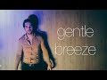 Boro - Gentle Breeze