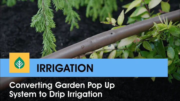 How To: Convert Garden Pop Up System to Drip Irrigation