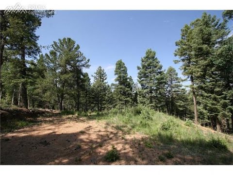 286 Saguache Drive, Florissant, CO home video tour