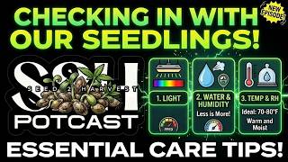 S2H Potcast | Season 6 | Seedling Check!!!