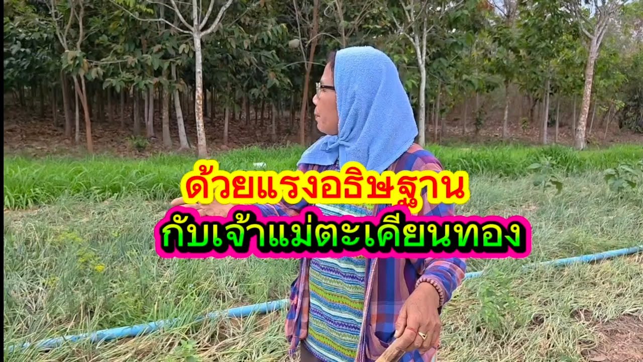 ด้วยแรงอธิษฐานกับเจ้าแม่ตะเคียนทอง