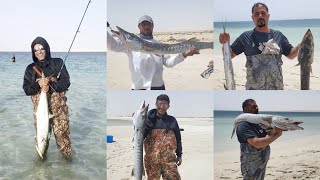 لفاح راس أبو قميص | صيد الكنعد | Fish King