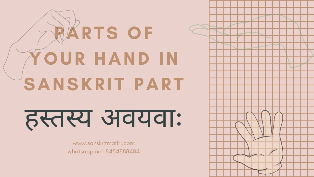 हस्तस्य अवयवाः। Parts of your hand in sanskrit part. जानिए हाथ के