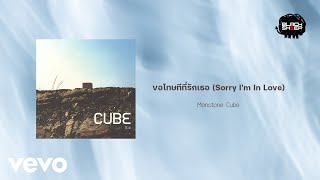 Monotone Cube - ขอโทษทีที่รักเธอ (Sorry I&#39;m In Love) (Official Lyric Video)